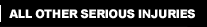 All Other Serious Injuries